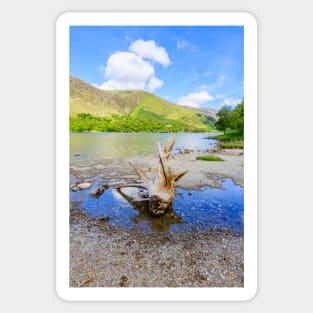 Buttermere Panorama With Driftwood Sticker